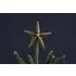 Bishakha Star Tree Topper - Brass