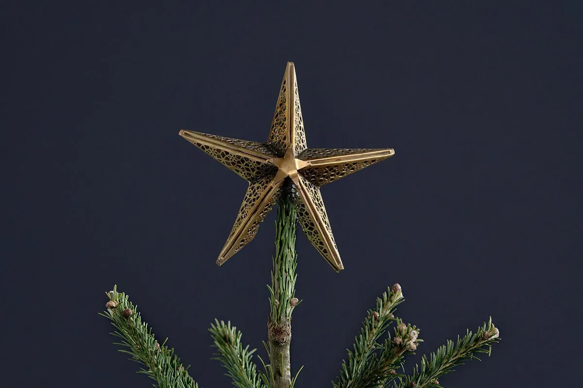 Bishakha Star Tree Topper - Brass image