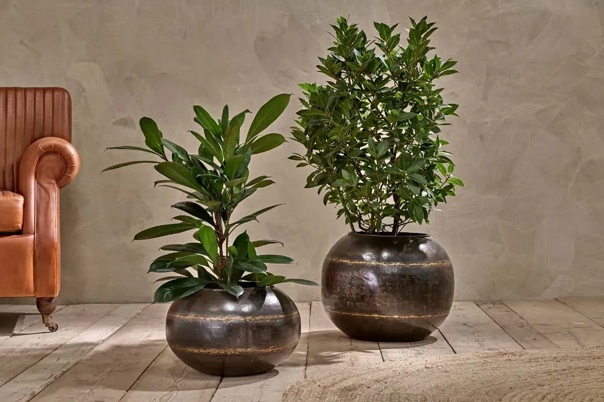 Endo Large Globe Reclaimed Iron Planter - Aged Black