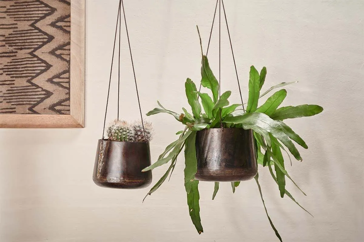 Endo Small Hanging Planter - Black, Reclaimed Iron product