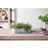 Japos Outdoor Planter Tray - Aged Zinc