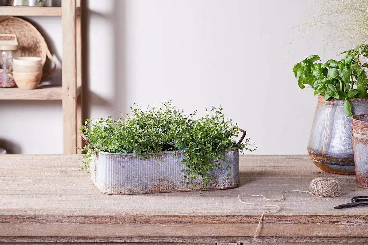 Japos Outdoor Planter Tray - Aged Zinc