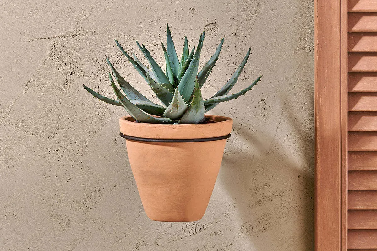 Jara Large Wall Hung Planter - Terracotta, Rust product