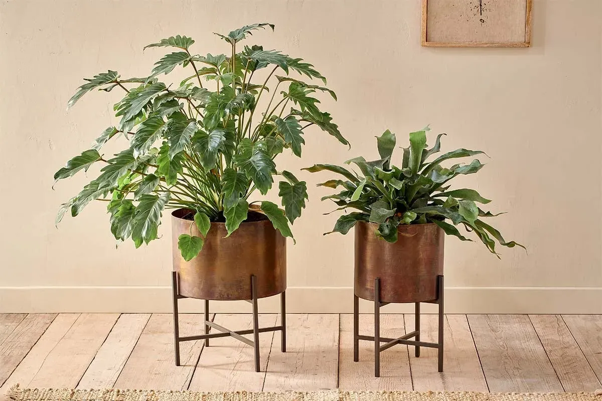 Juoni Large Iron Planter - Aged Antique, Brass