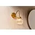 Konnie Globe Wall Light - Clear, Brass
