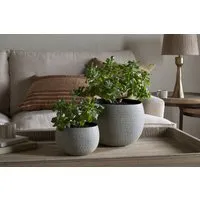 Laoko Small Planter - Olive Grey alternate view