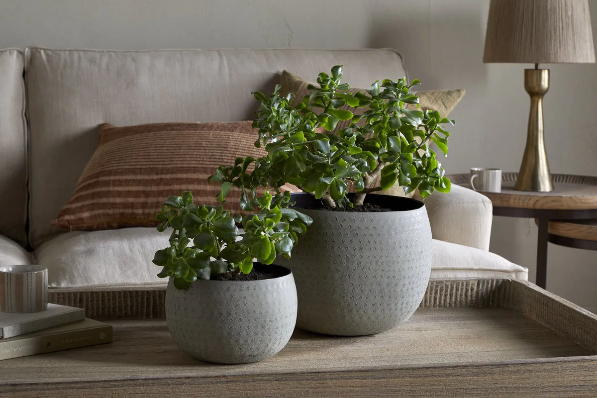 Laoko Small Planter - Olive Grey product