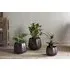 Maliki Small Plant Pot - Aged Bronze