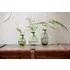 Miza Large Glass Vase - Green