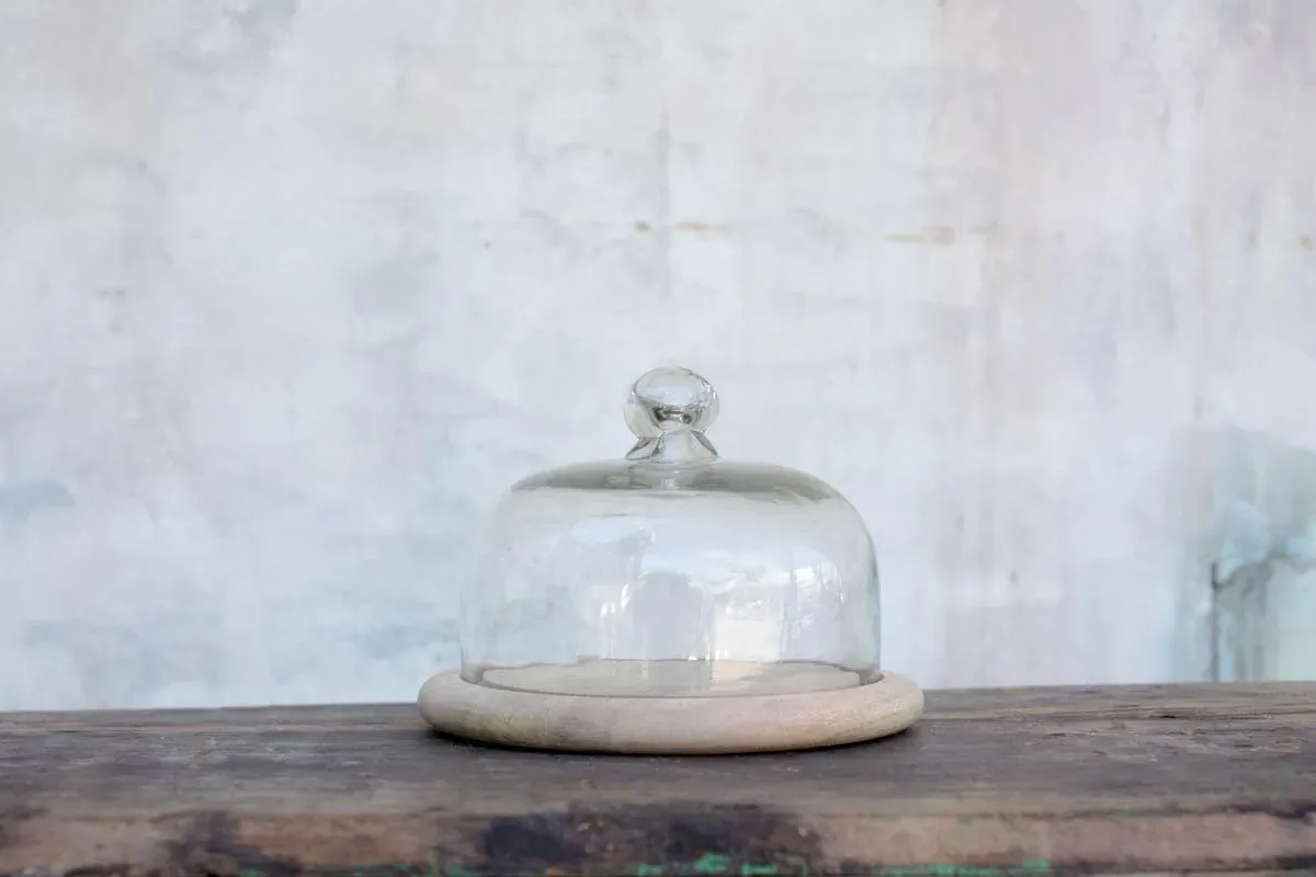 Recycled Glass Bell Dome - Clear Glass, Mango Wood image