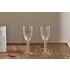 Santosa Champagne Flute Set of 2 - Clear