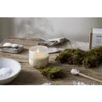 Sea Salt & Moss 1 Wick Scented Candle - Aged Smoke