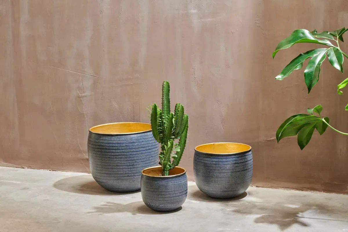Tembesi Medium Etched Planter - Antique Black & Brass product