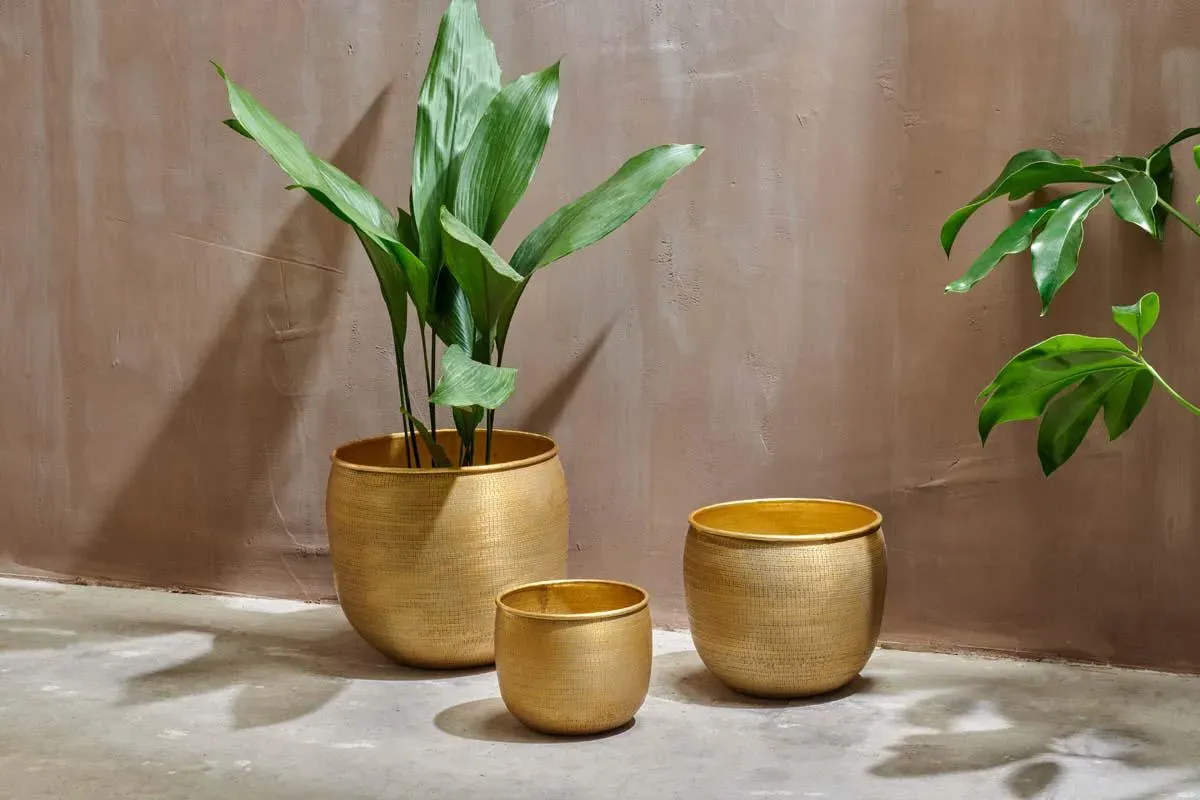 Tembesi Small Etched Planter - Antique Brass, Aluminium image