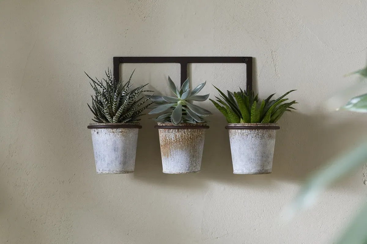Tukana Triple Wall Hung Planter - Zinc product
