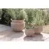 Ullu Large Planter - Terracotta