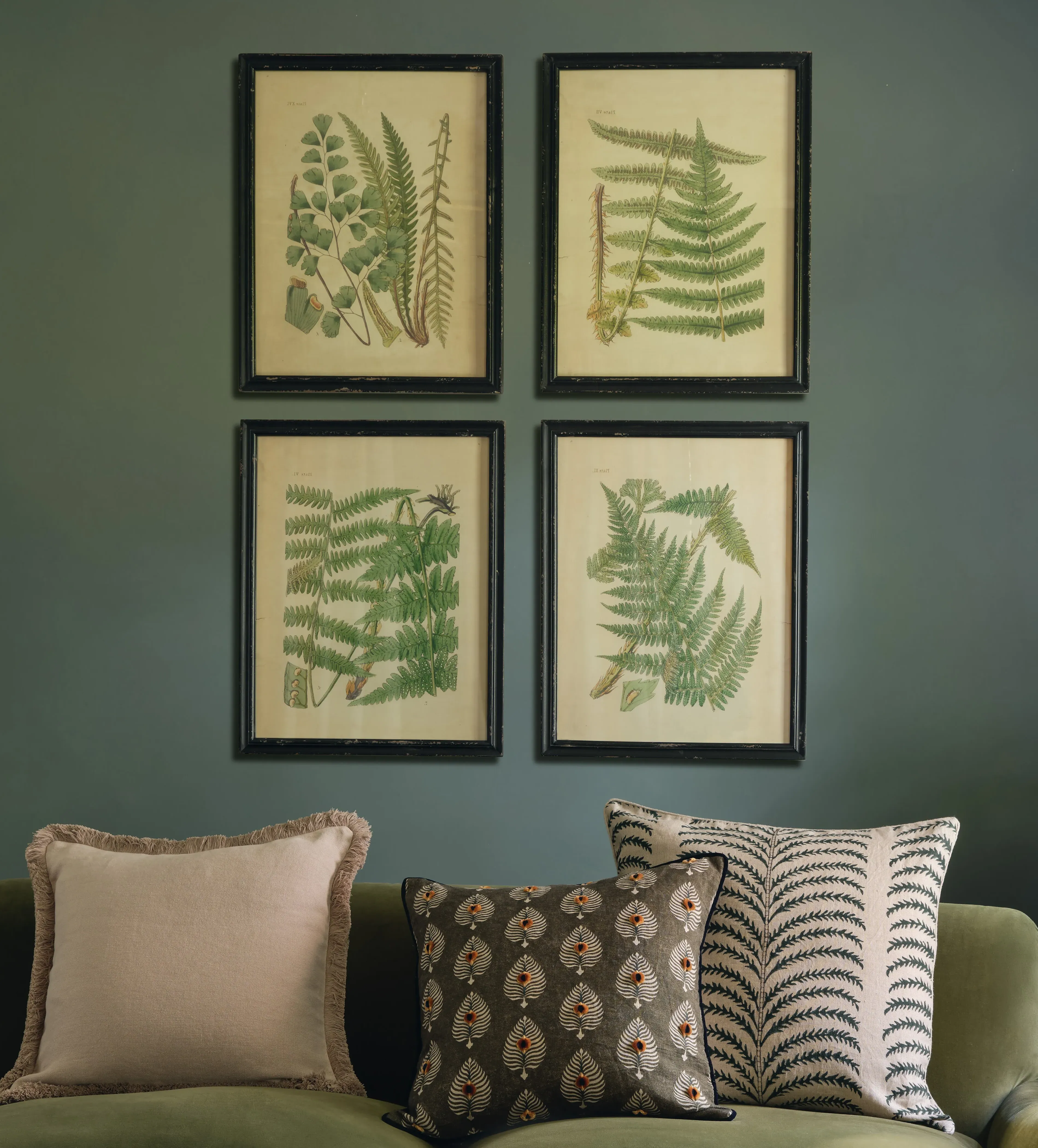 Framed Botanical Fern Prints Set of Eight - Multi product
