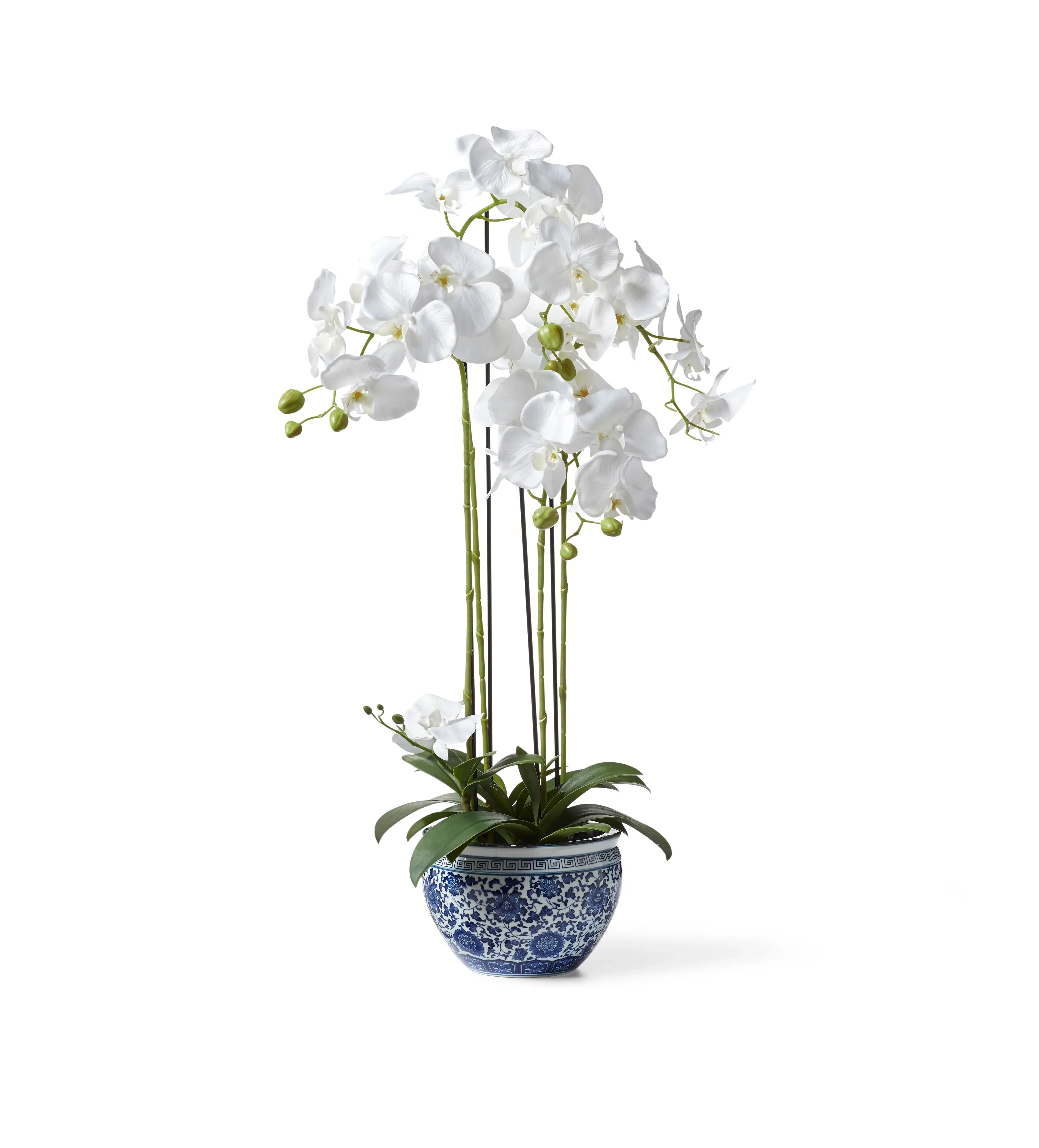 Chinoiserie Faux Planted Orchid Small - Blue, Ceramic by OKA, alternate view