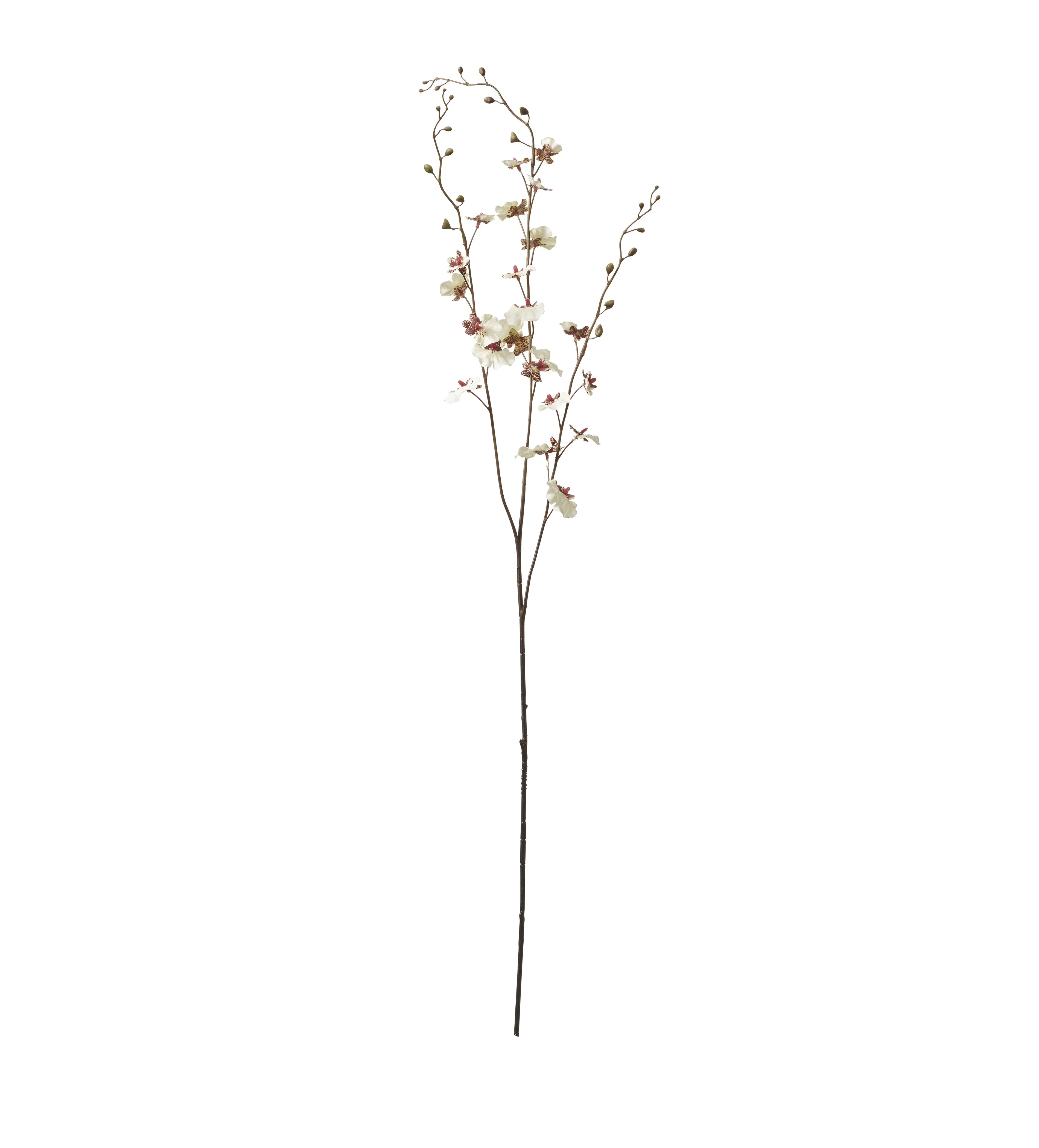 Dancing Orchid Faux Flower Stem - Cream product