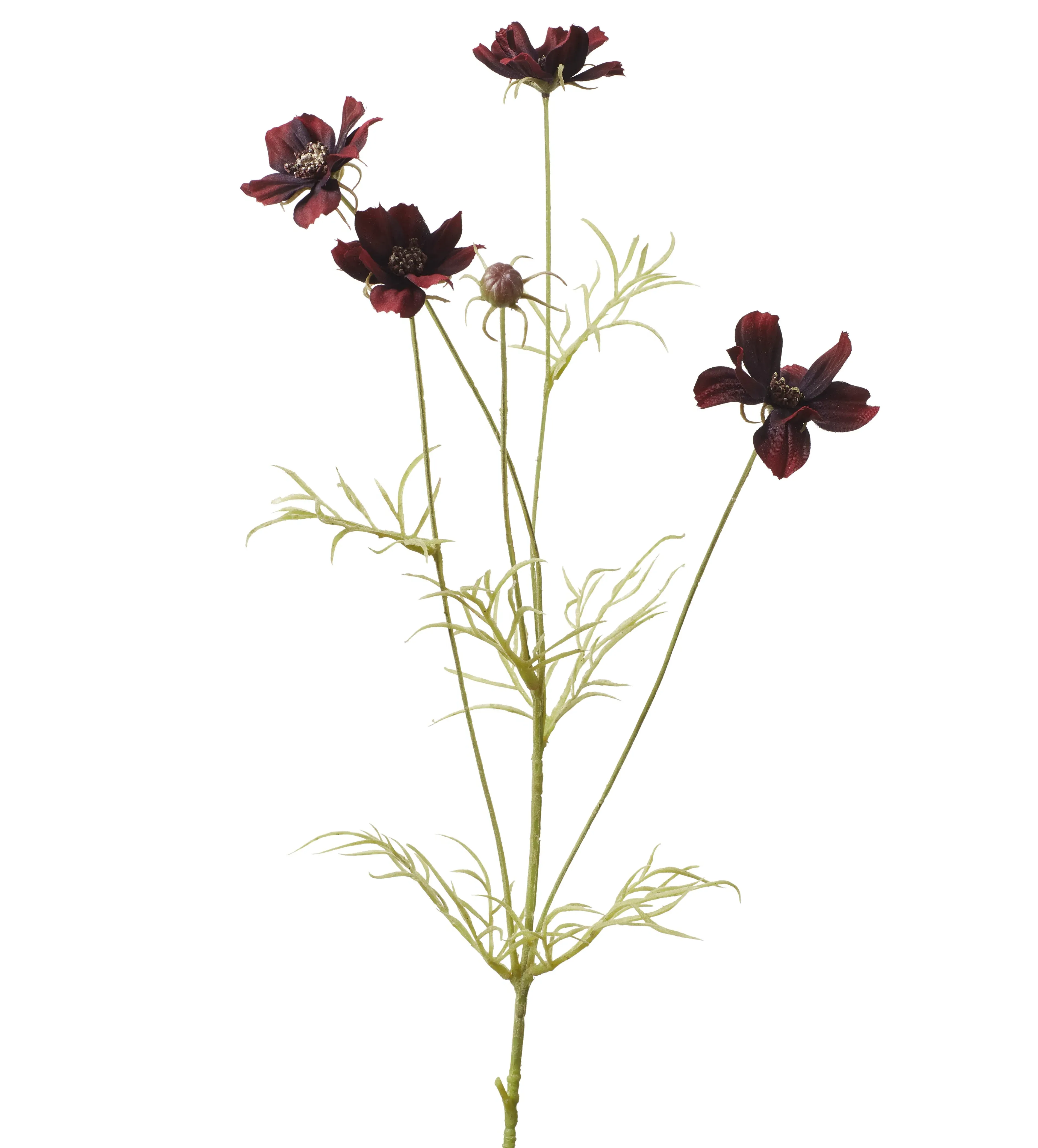 Faux Cosmos Stem - Burgundy alternate view