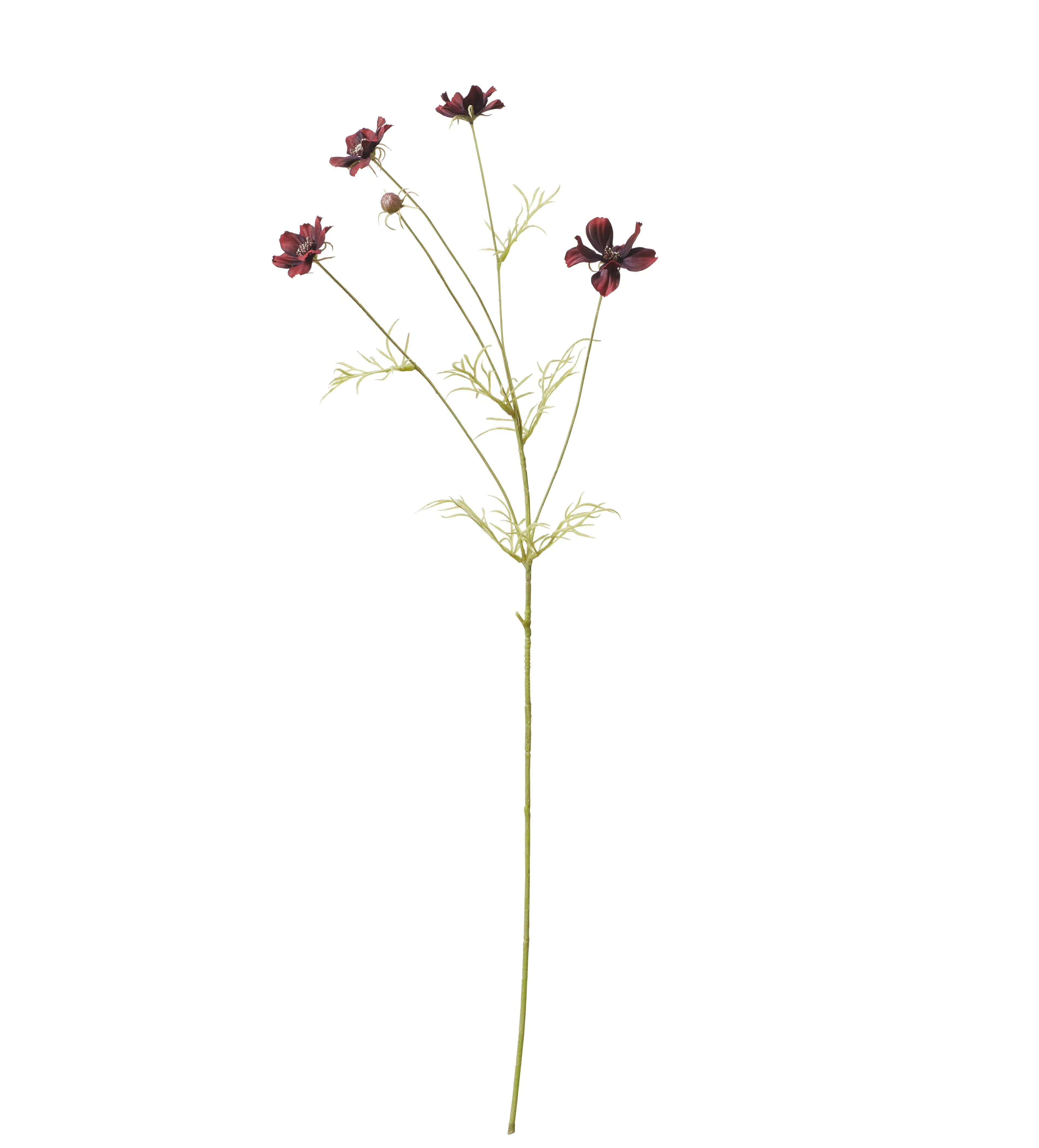 Faux Cosmos Stem - Burgundy product