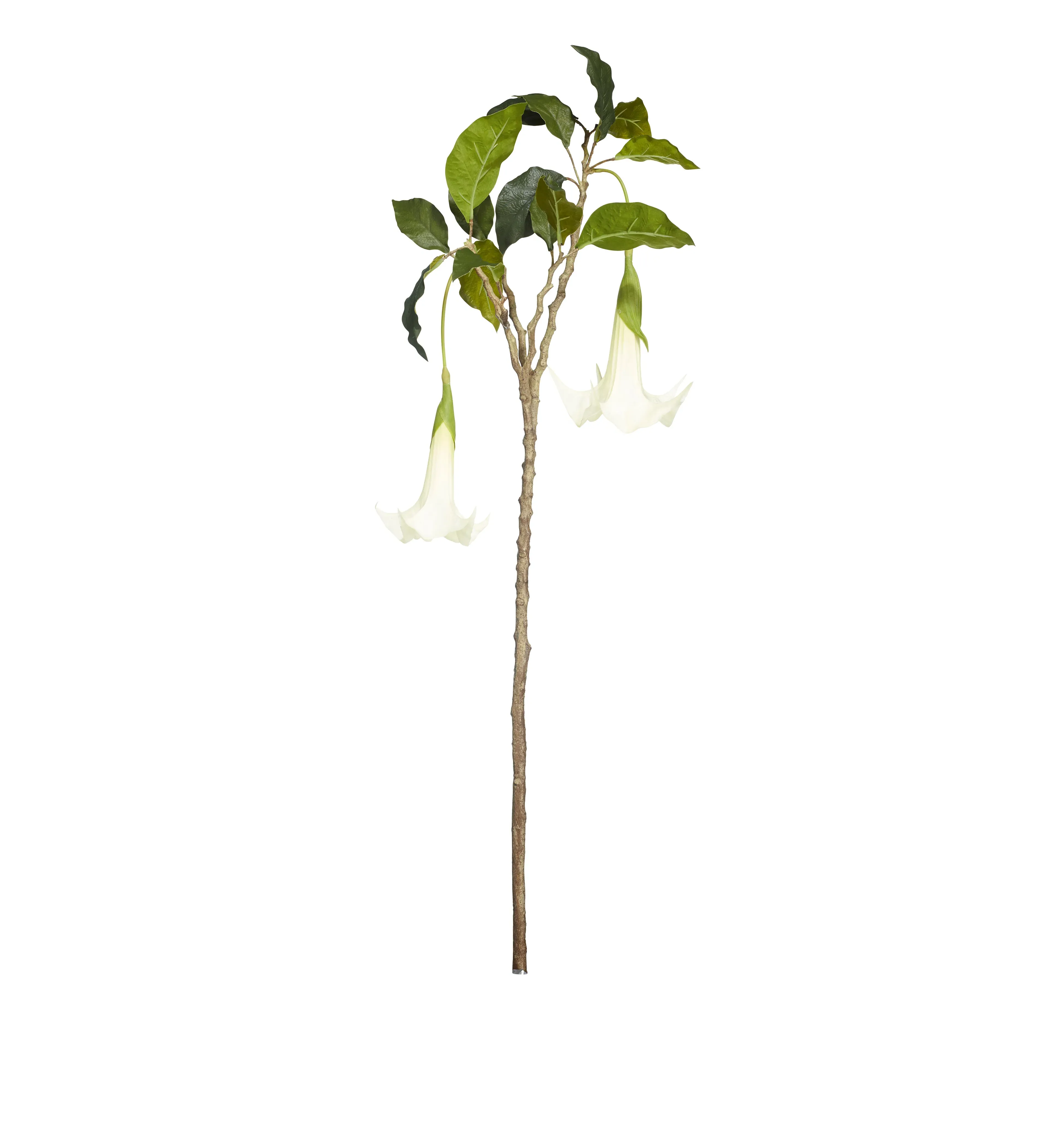 Faux Datura Branch - Cream product