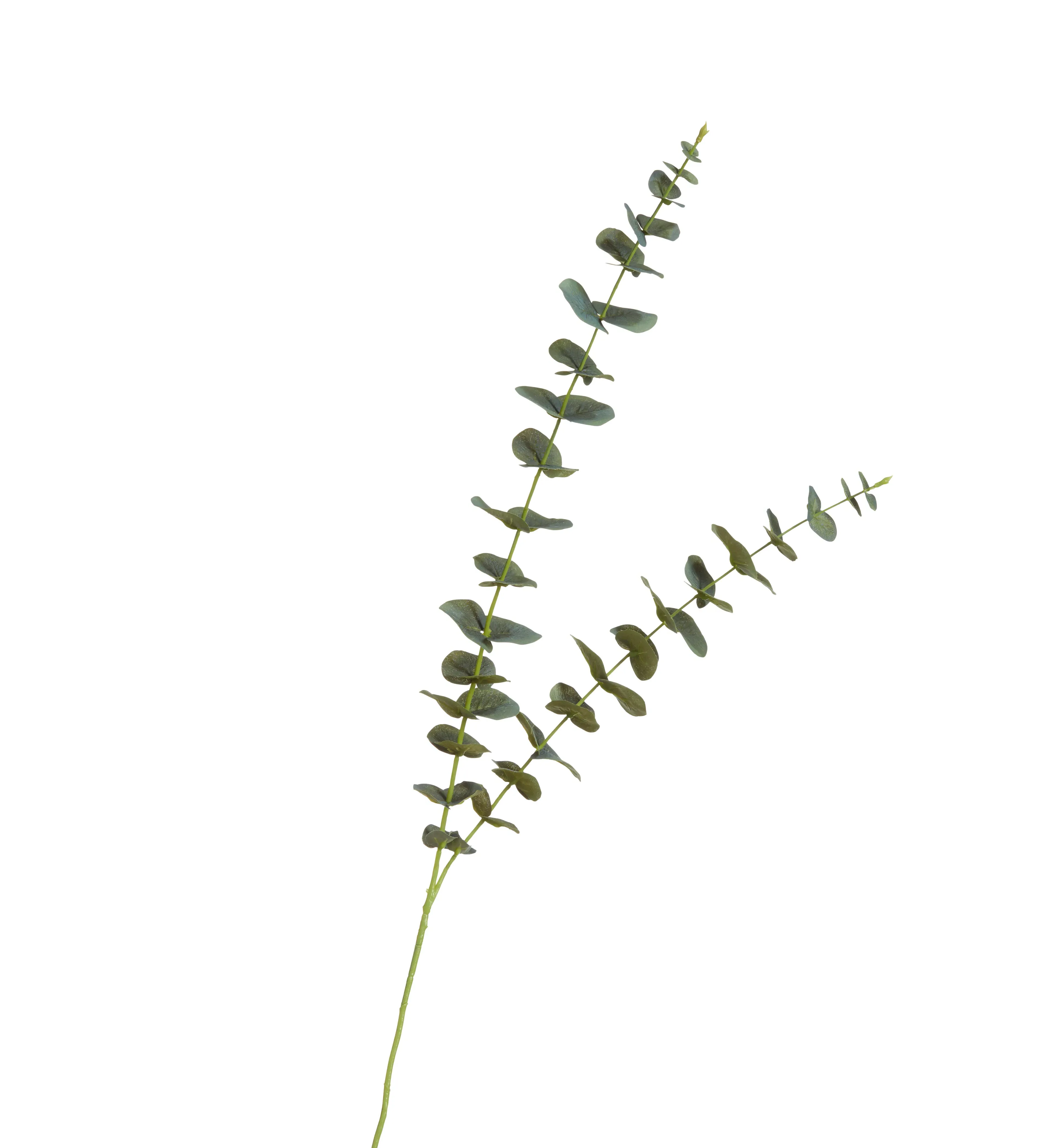 Faux Double Eucalyptus Stem - Green by OKA, image 2