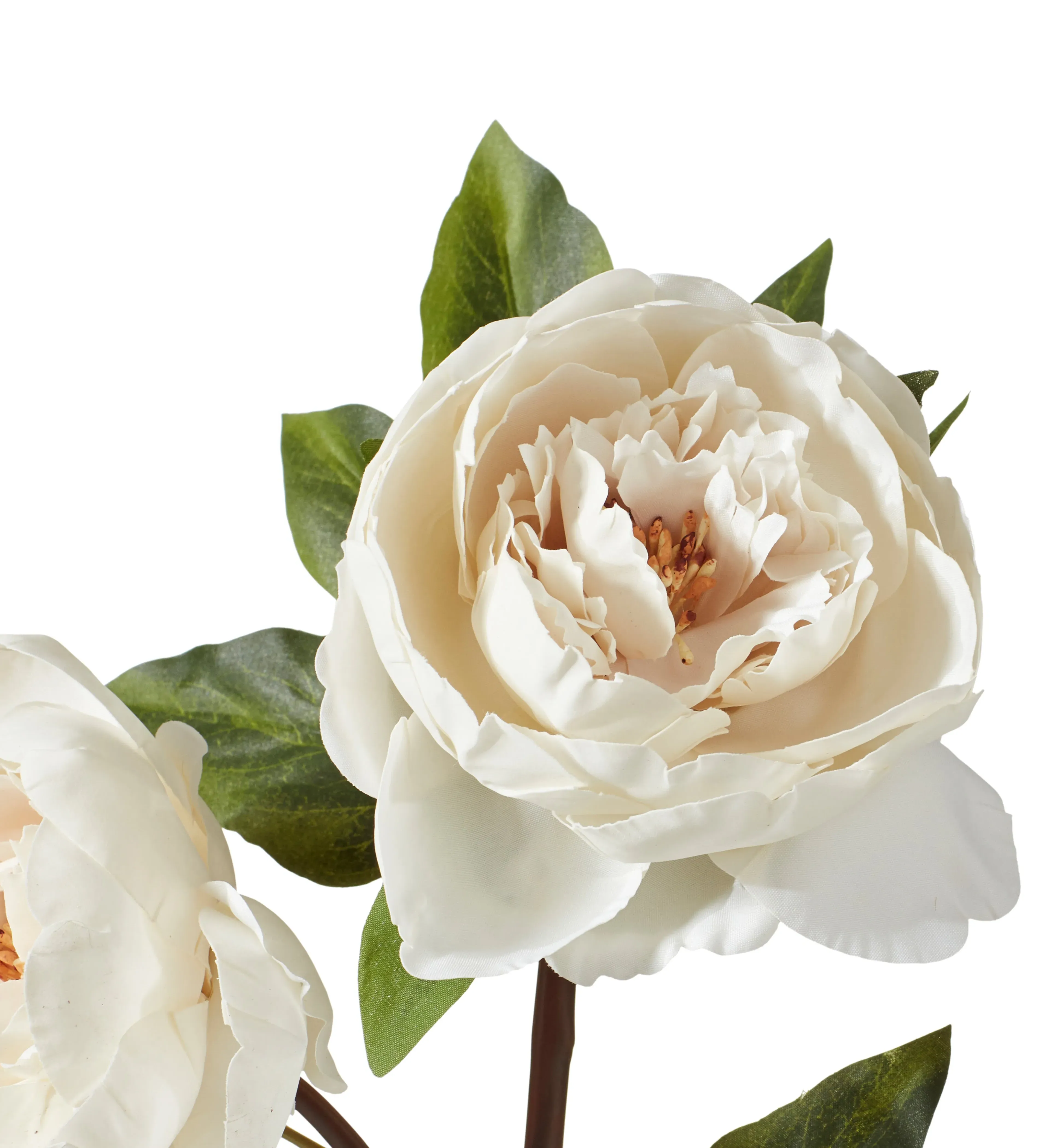 Faux Double Peony Stem - White product