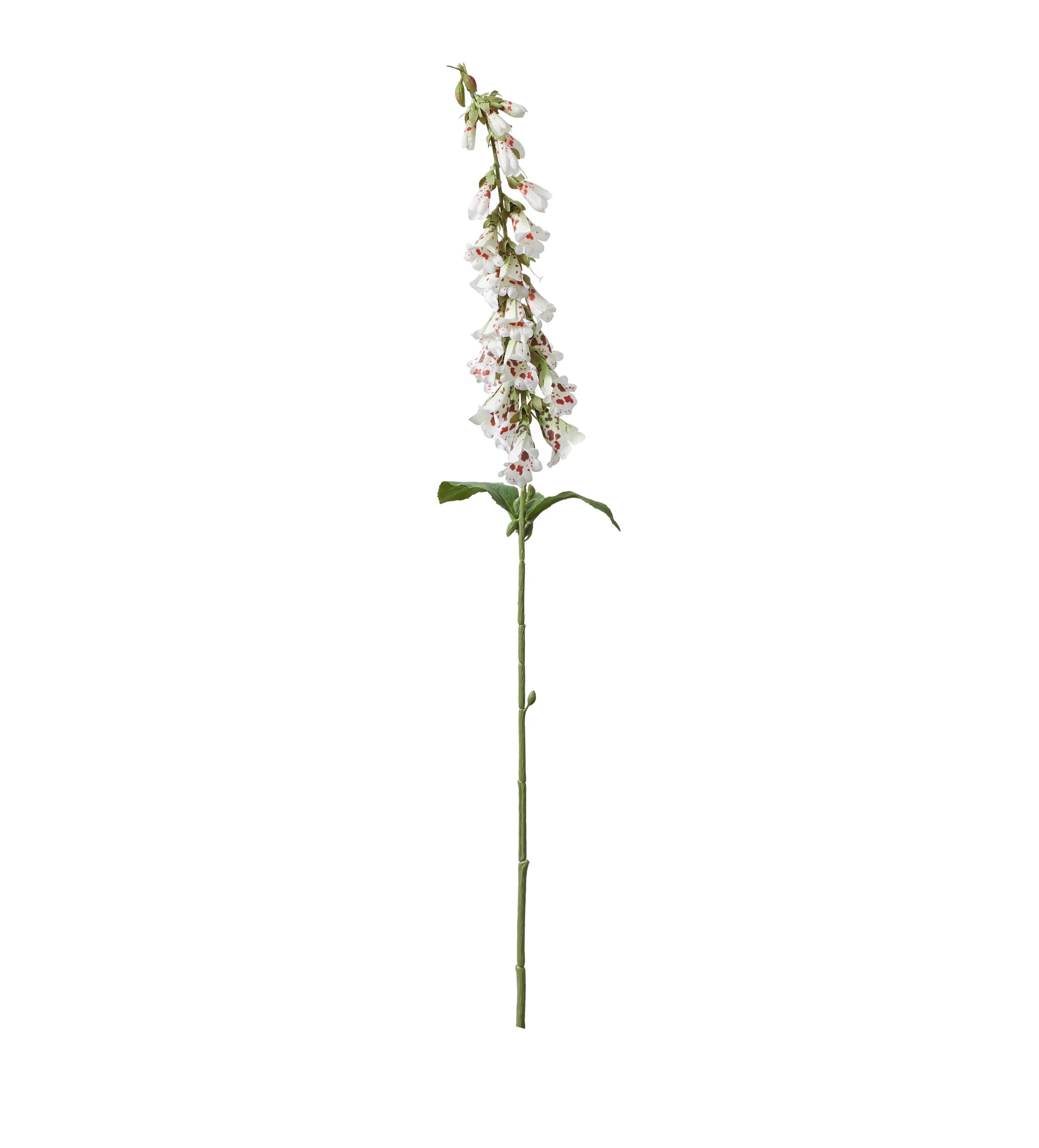 Faux Foxglove Stem - Cream product