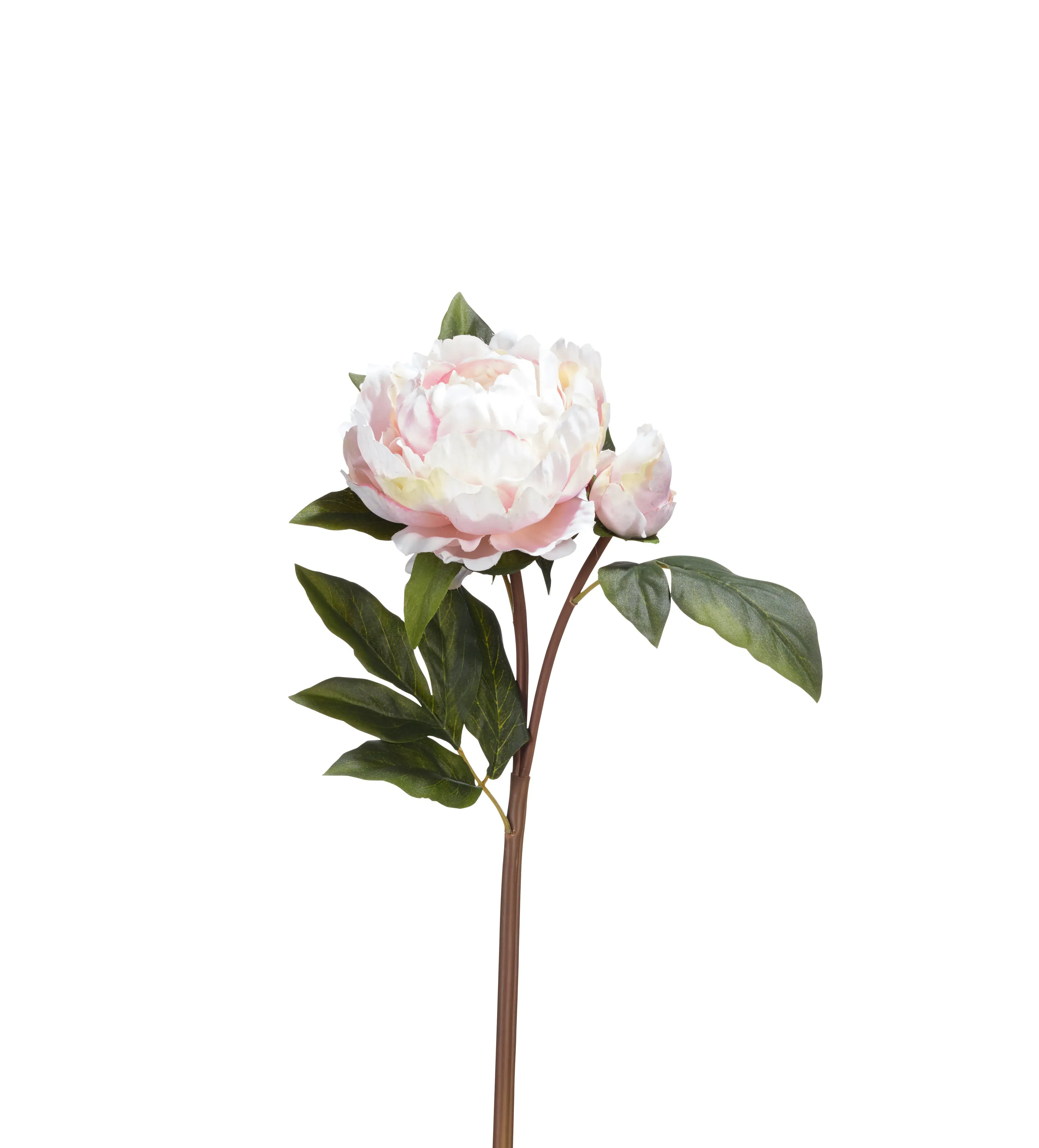 Faux Full Peony Stem - Pale Pink alternate view