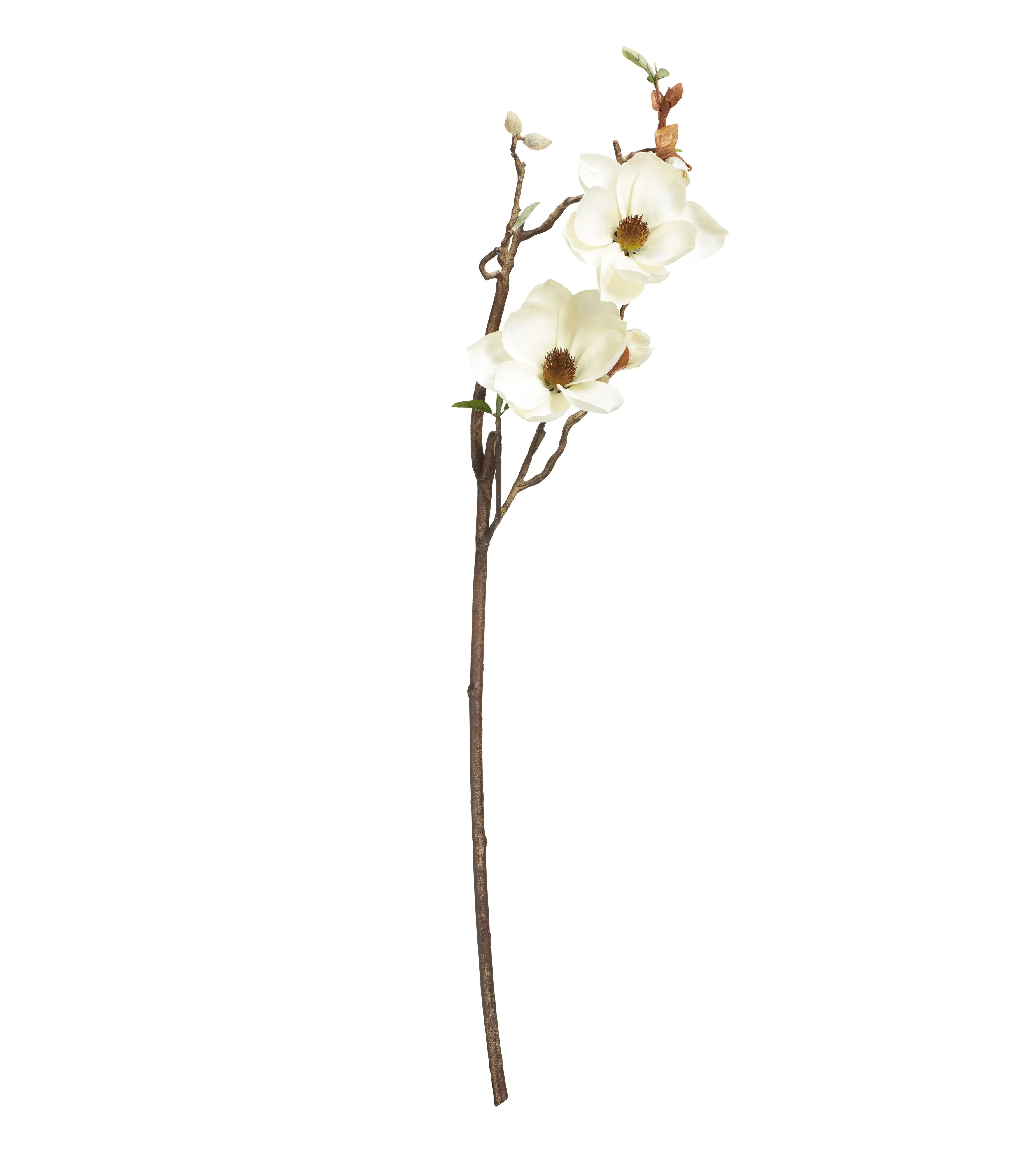 Faux Magnolia Branch - Cream product