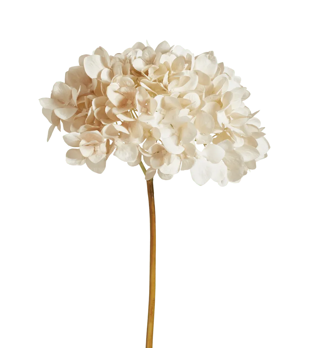 oka-faux-mophead-hydrangea-stem-off-white-floral-stems-plastic image