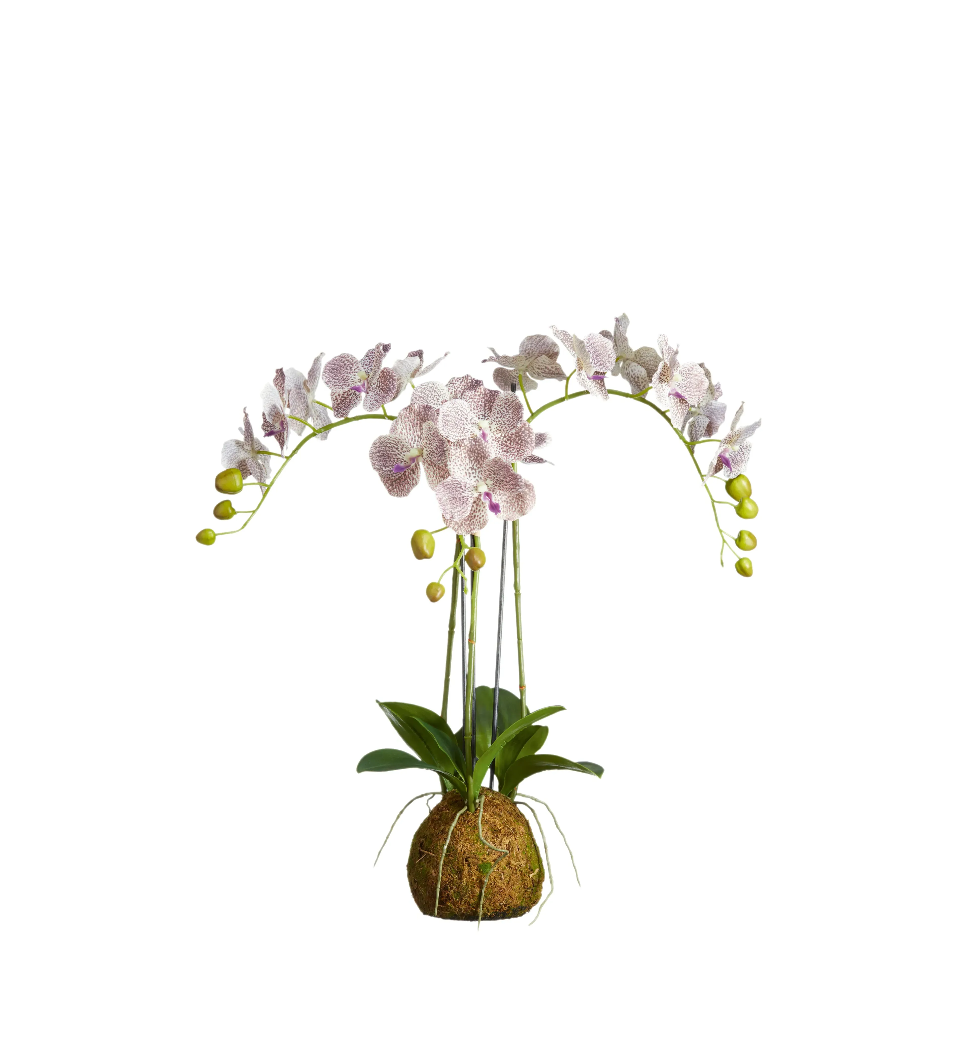 Faux Phalaenopsis Gigantea Orchid Small - Purple alternate view