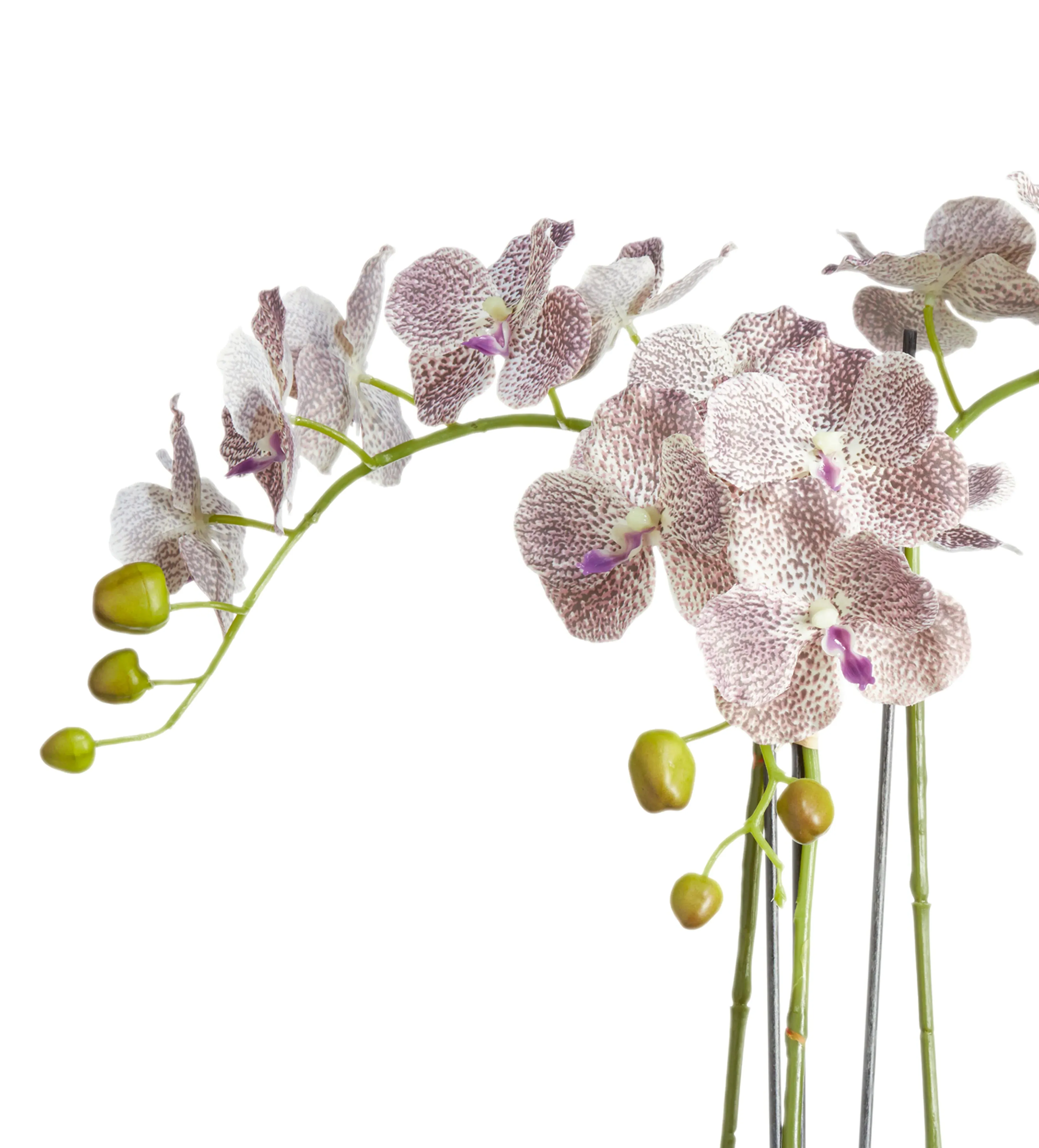 Faux Phalaenopsis Gigantea Orchid Small - Purple product
