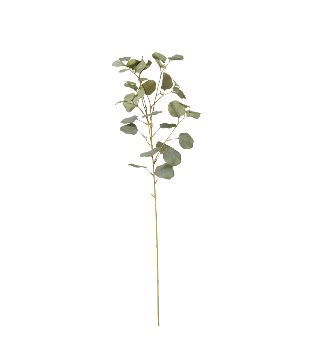 oka-faux-single-eucalyptus-stem-pale-green-floral-stems-fabric-plastic image