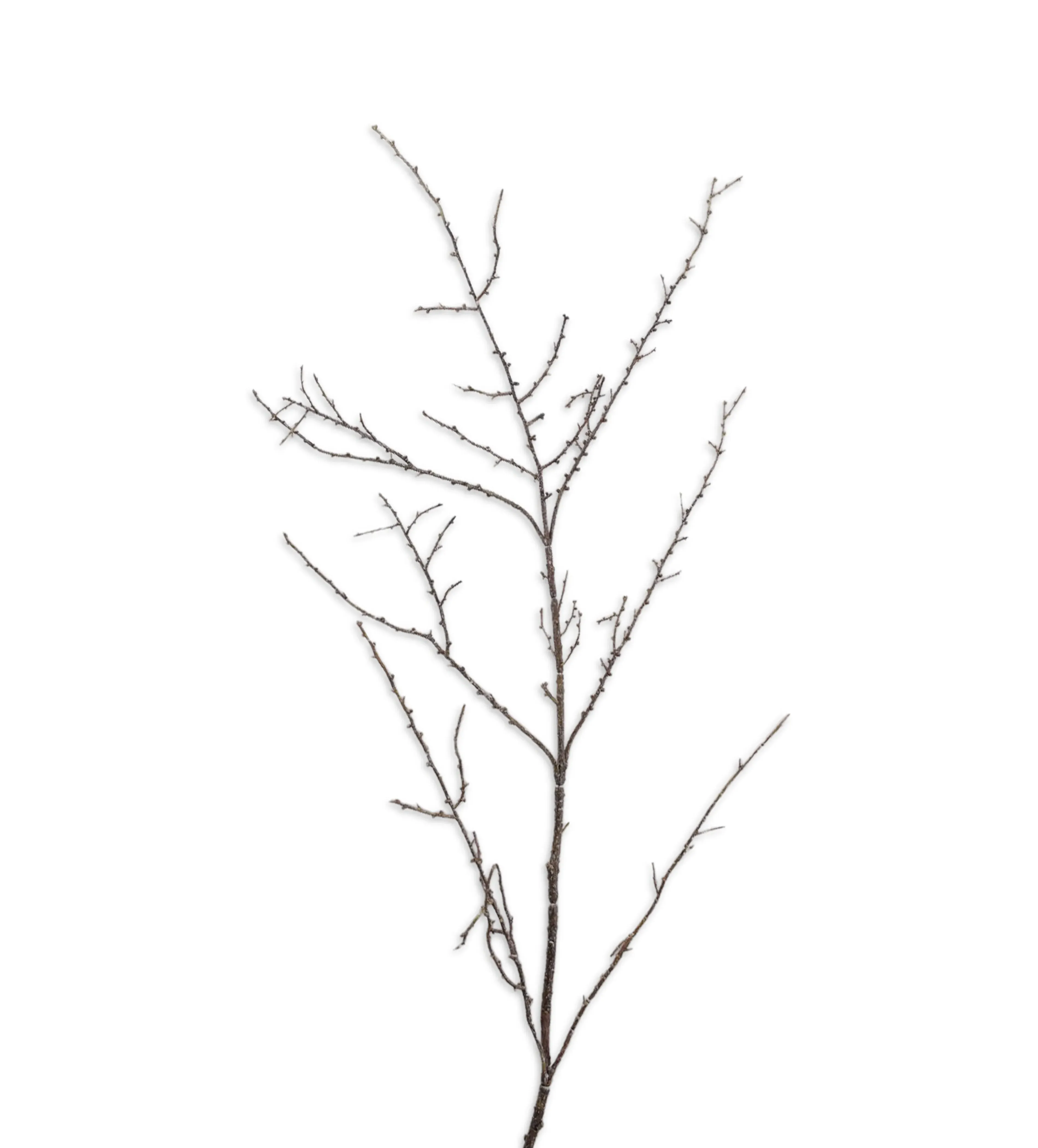 Faux Spiky Twig Stem - Brown product