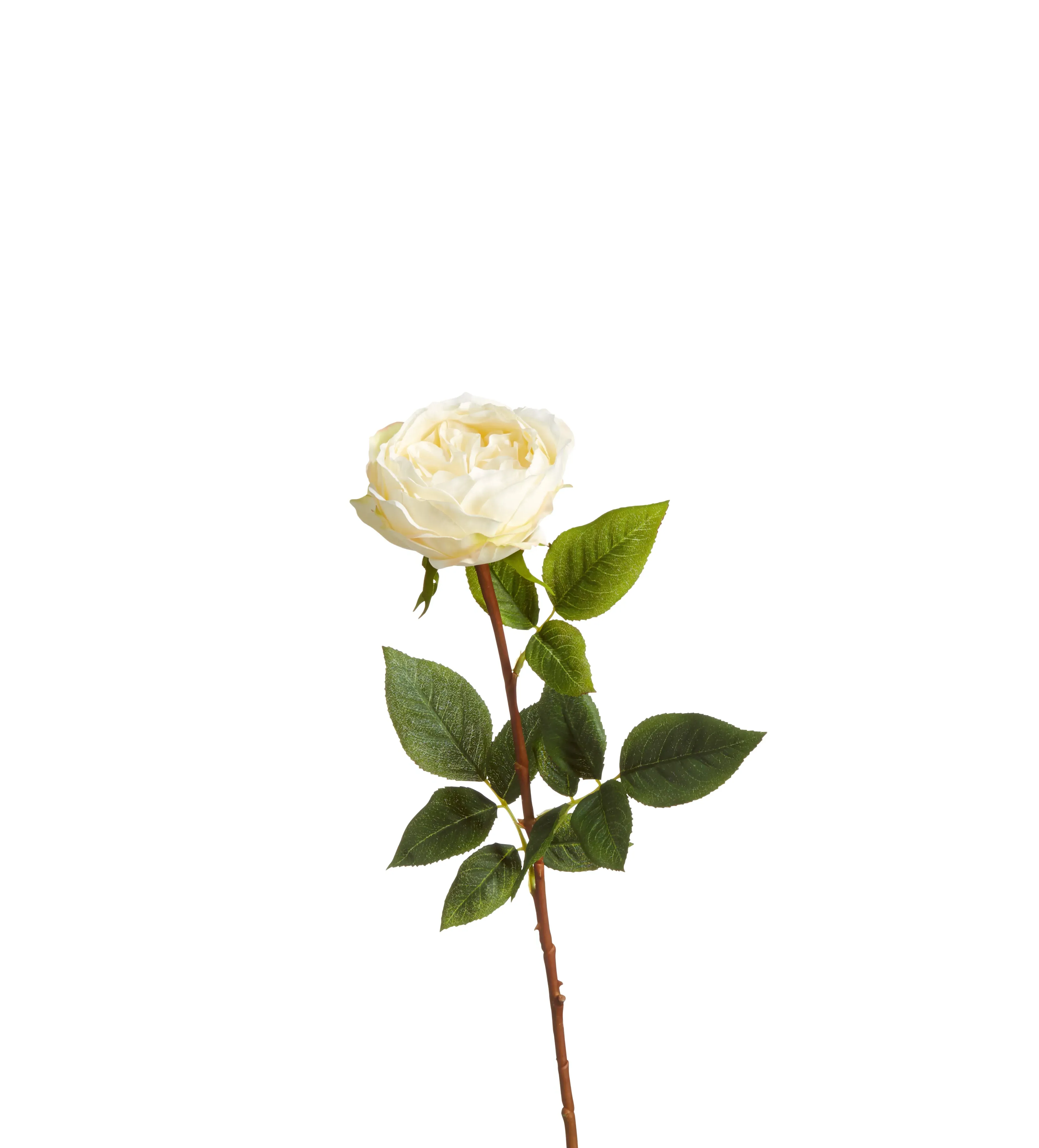 Juno Old Fashioned Rose Faux Flower Stem - Cream alternate view
