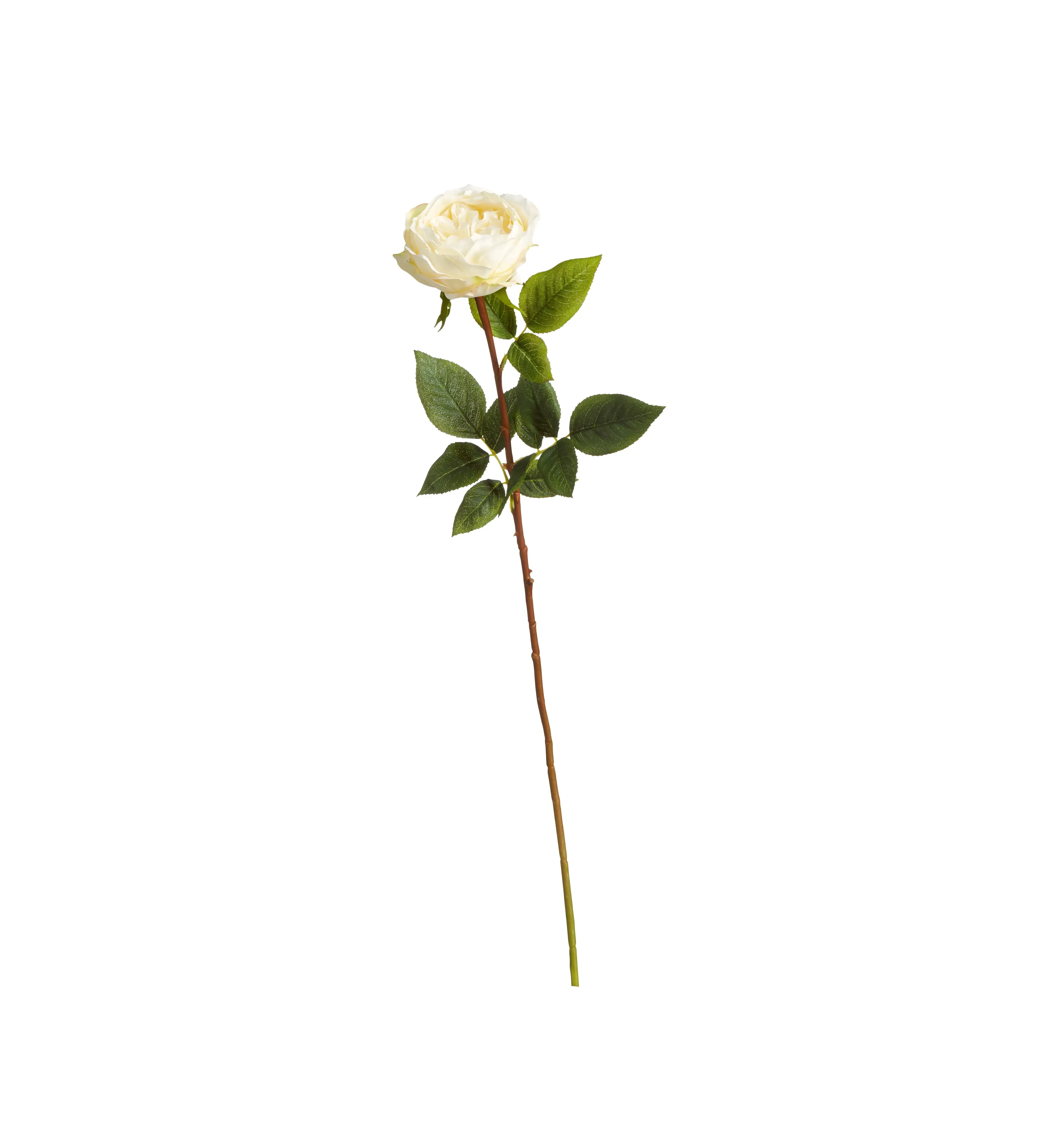 Juno Old Fashioned Rose Faux Flower Stem - Cream product