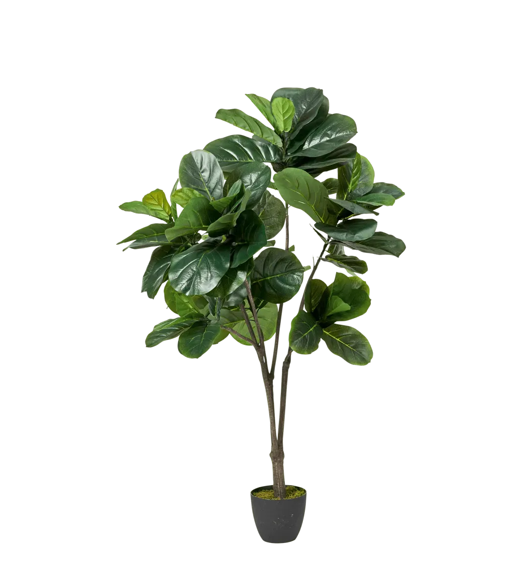 oka-medium-faux-fiddle-plant-green-potted-plants-fabric-plastic image