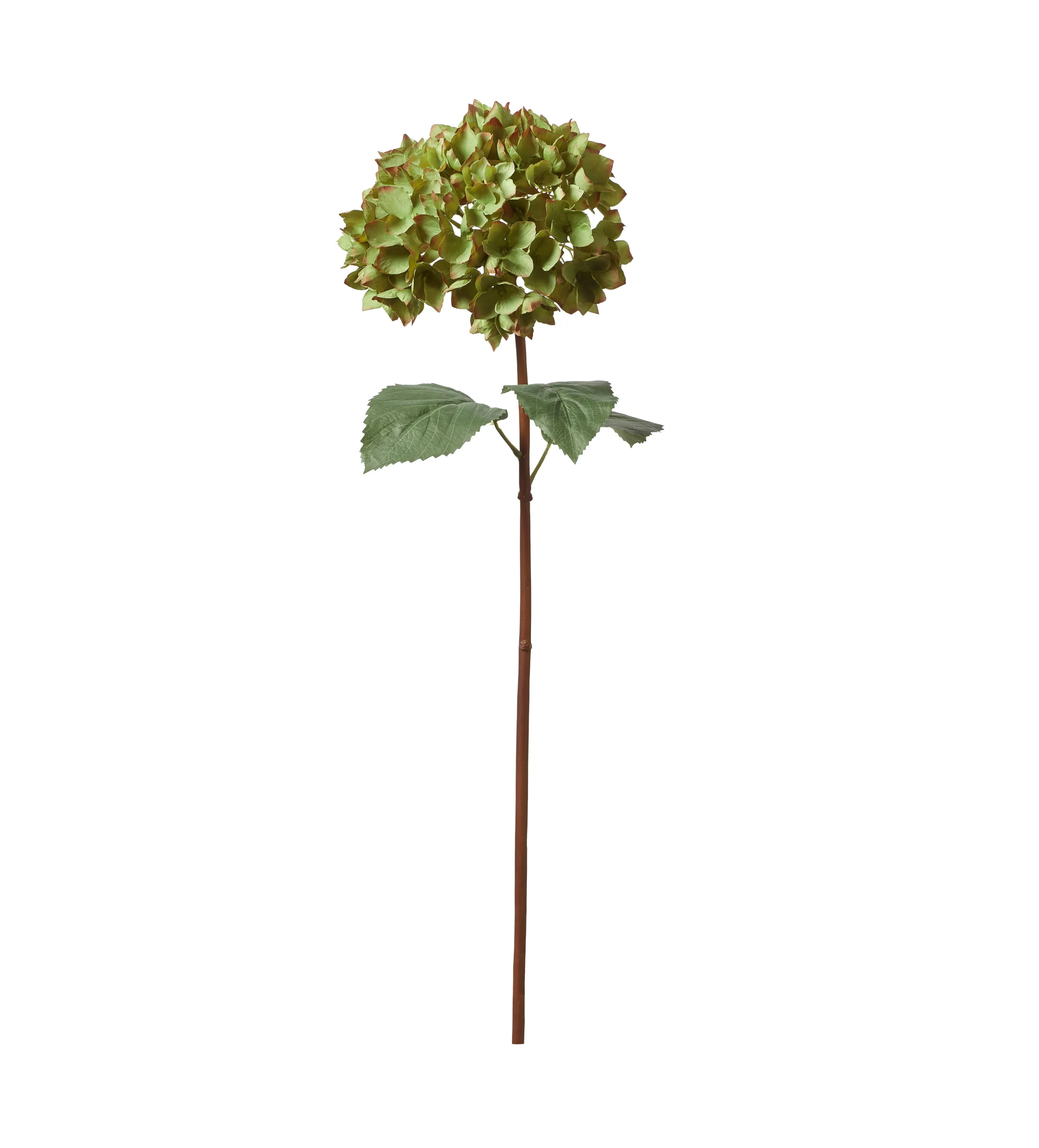Mophead Hydrangea Faux Flower Stem - Green product