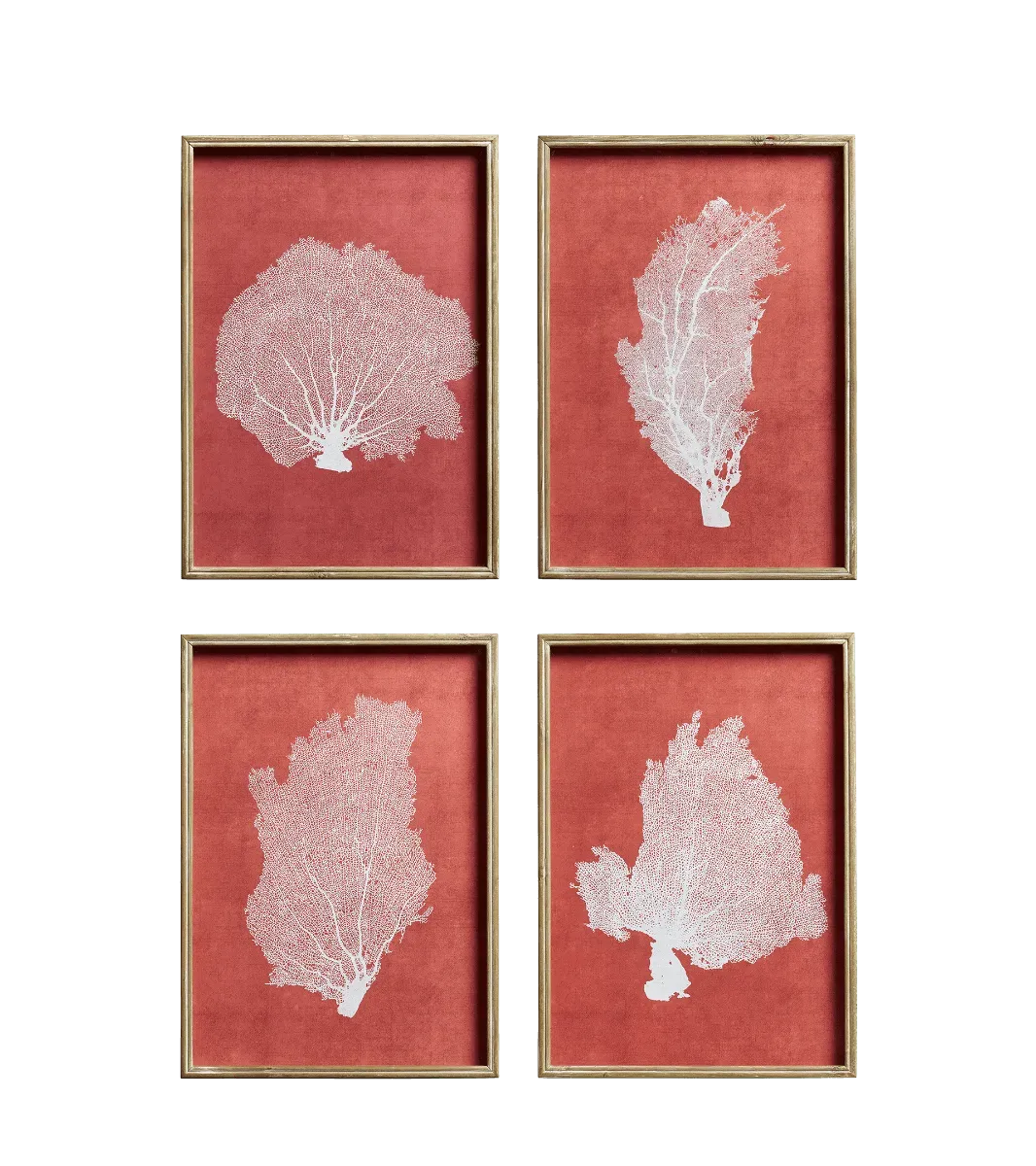 oka-set-of-four-skeleton-coral-prints-red-white-wall-prints-wood-botanical image