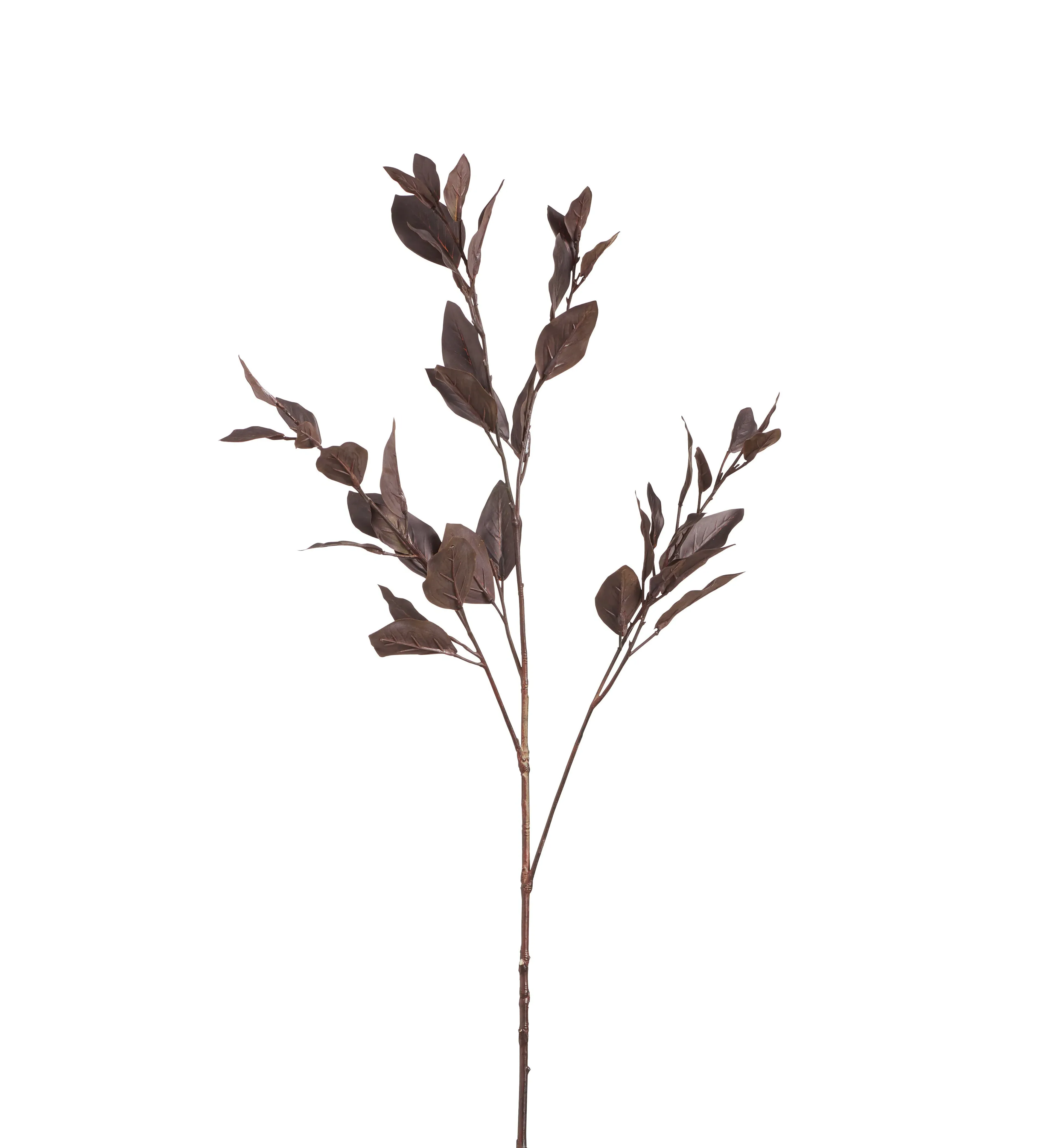 Single Eucalyptus Stem - Dark Brown, Faux alternate view