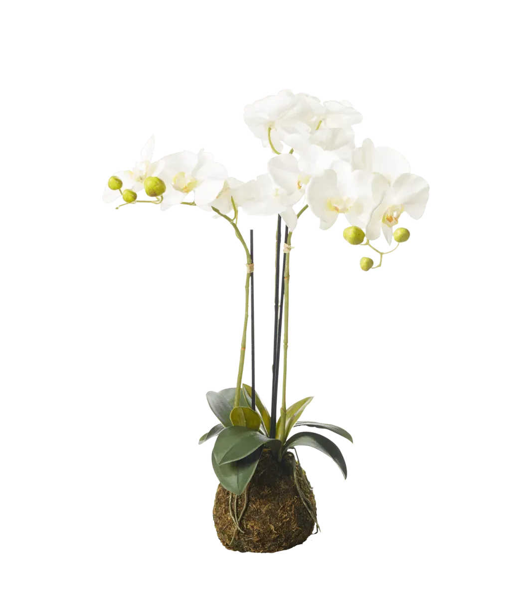 oka-small-faux-planted-phalaenopsis-orchid-white-artificial-plants-fabric-plastic image