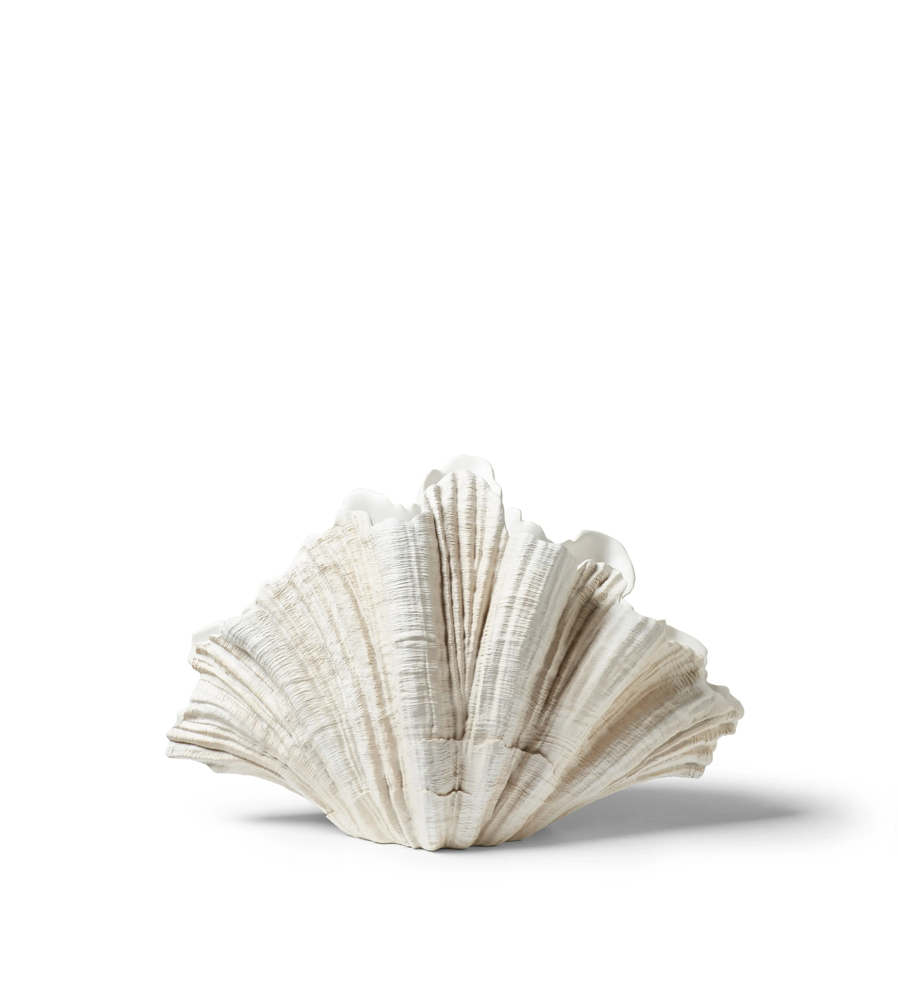 Venusia Clam Shell Decorative Bowl - Off White, Resin alternate view