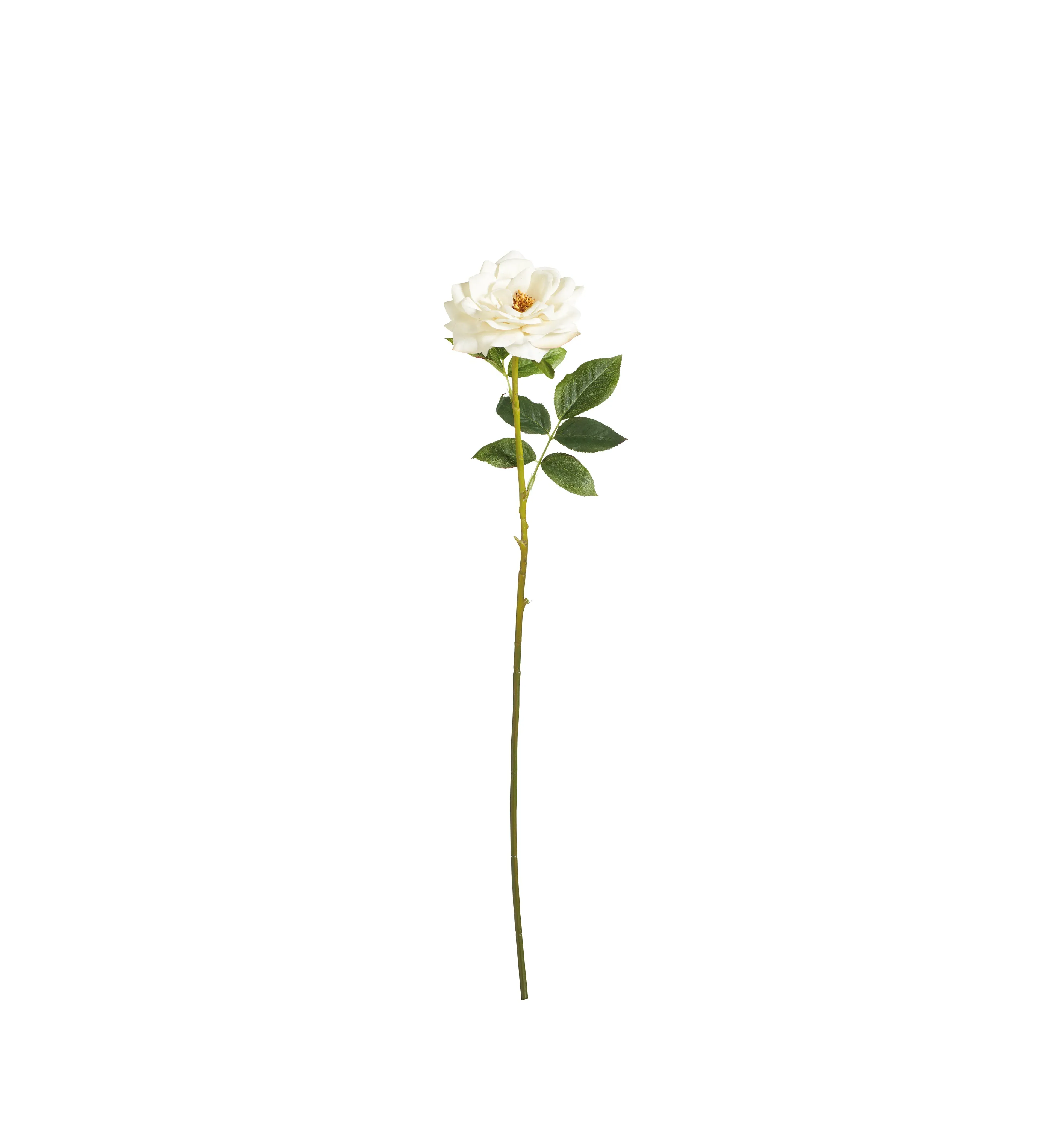 Winchester Cathedral Rose Stem - White, Faux Flower product