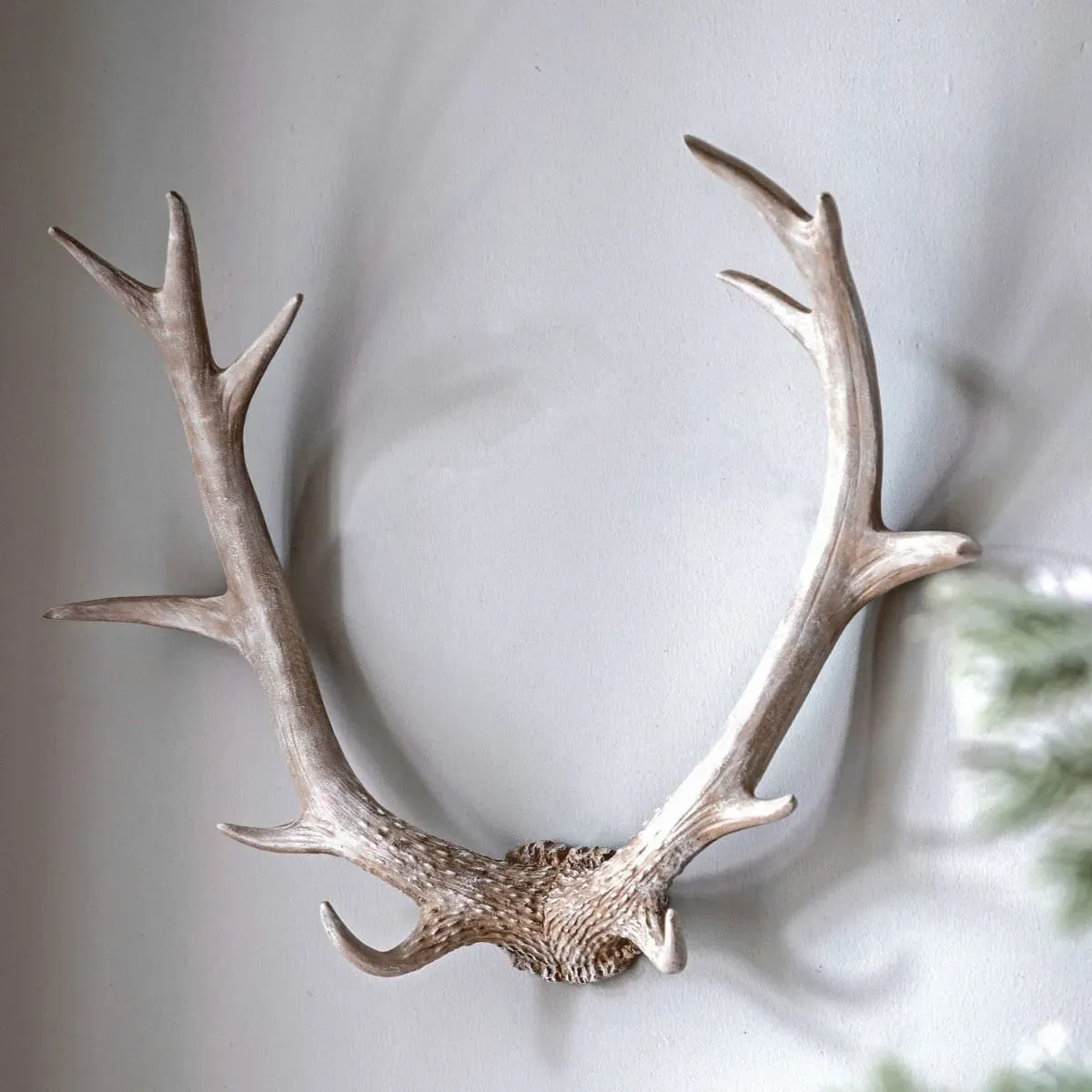 Bjorn Antler Wall Art - White product