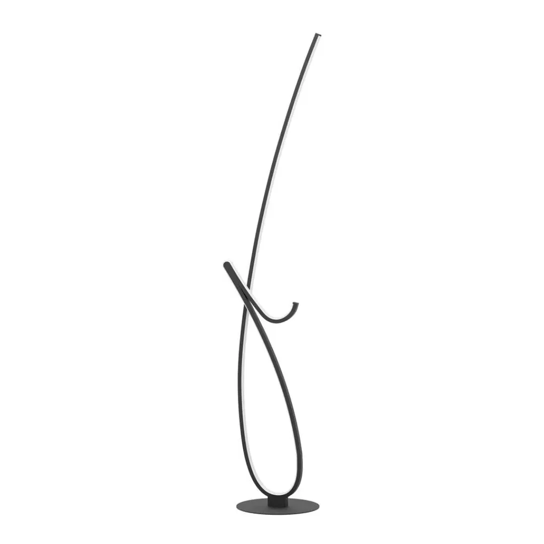 Cardoncito LED Floor Lamp - Black product