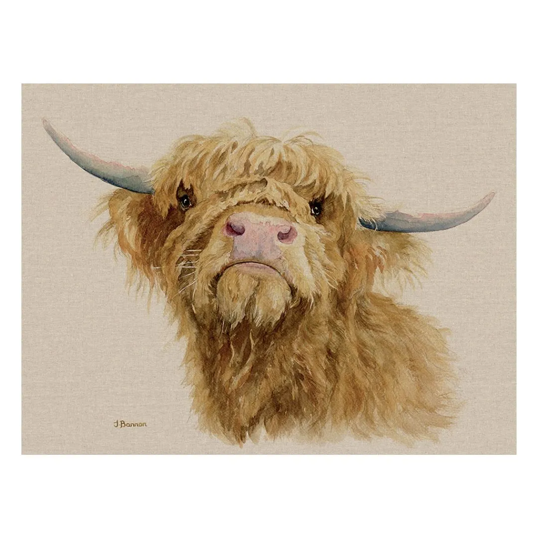 Donald the Highland Cow Jane Bannon Canvas Print product