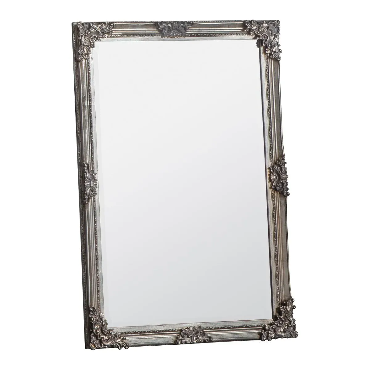 Fiennes Rectangular Mirror - Champagne, Wood product