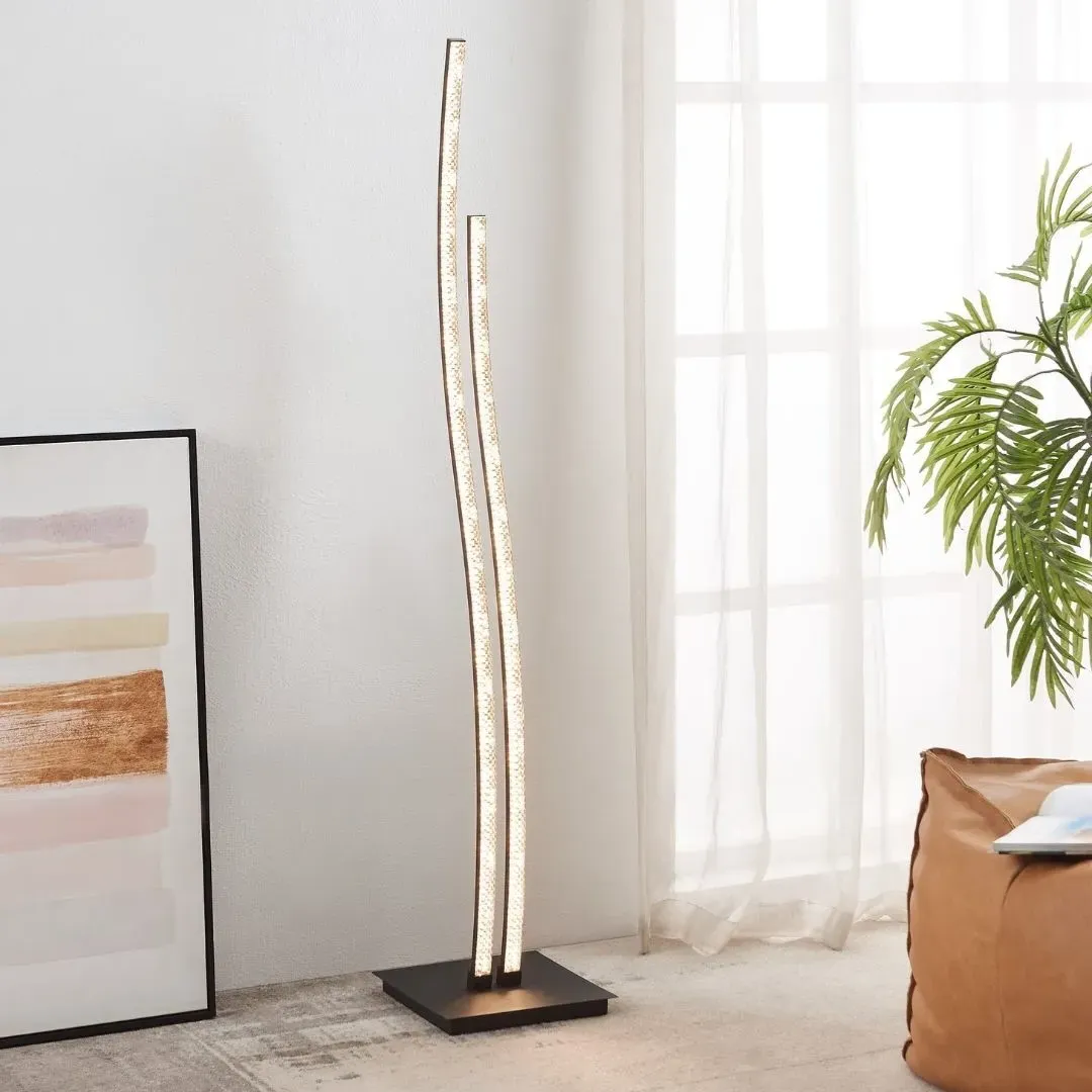 Lejias LED Floor Lamp - Black, Metal product
